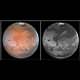 Hubble Finds Cloudy, Cold Weather Conditions for Mars-Bound Spacecraft