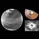 Colossal Cyclone Swirls near Martian North Pole