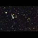 The Secret Lives of Galaxies Unveiled in Deep Survey