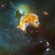 Supernova Remnant Menagerie