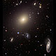 Hubble Illuminates Cluster of Diverse Galaxies