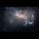 Stellar Fireworks Are Ablaze in Galaxy NGC 4449