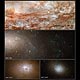 When It Comes to Galaxies, Diversity Is Everywhere