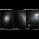 Starbursts in Dwarf Galaxies are a Global Affair